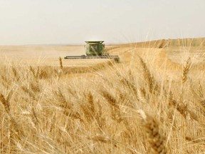 A $350 million mill that will turn wheat straw into pulp for paper products is planned for the Regina area.