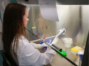 Research technician Michaela Nickol extracts viral RNA at VIDO-InterVac where researchers are running experiments to find a vaccine for COVID-19.