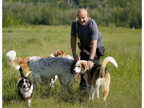 Dan Meyer, owner of a dog walking service in Edmonton named The Leash Team, says his business is booming during the COVID-19 pandemic.