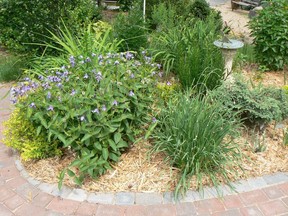 Mulched perennial border.