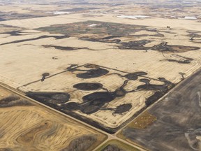 In this file image from October 2017, a harvested field sits near the Quill Lakes. The black areas were wetlands, now being prepared for cultivation.