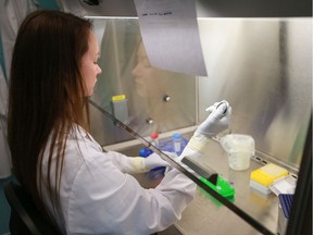 Research technician Michaela Nickol extracts viral RNA at VIDO-InterVac where researchers are running experiments to find a vaccine for COVID-19. Photo taken in Saskatoon, SK on Friday, June 24, 2020. Saskatoon StarPhoenix/Michelle Berg