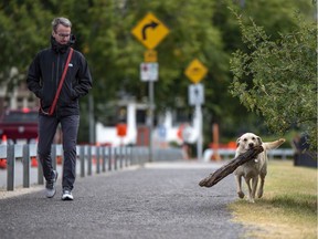 Angus the dog shows off the his big find while on a walk with his owner Richard Davies on Monday, September 7, 2020.