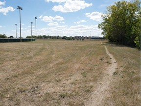 The site of a planned dog park in the Mount Pleasant area in Regina on Sept. 9, 2020. The park is to be located north of Ring Road and east of Lloyd Crescent.
