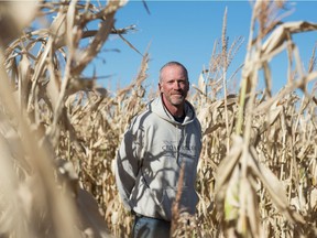 Brad Crassweller, co-owner of Cedar Creek Gardens, stands in the corn maze on Cedar Creek property just south of Regina, Saskatchewan on Sept. 25, 2020. The maze had to be redesigned this year due to restrictions around the COVID-19 pandemic. BRANDON HARDER/ Regina Leader-Post