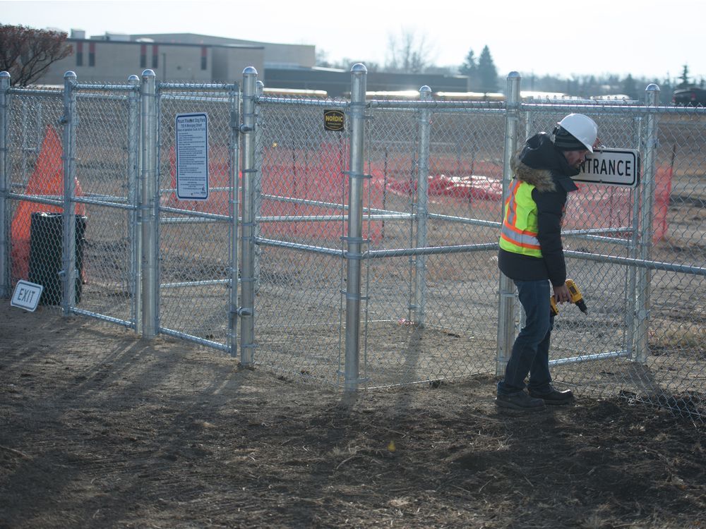 New Dog Park Opens In Regina Special Area For Small Breeds Regina   258259567 Dogpark3010203 W 