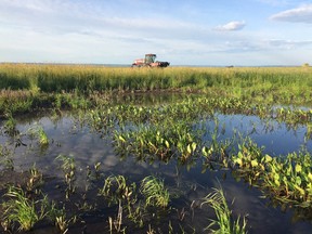 Ducks Unlimited believes science-based agricultural innovation is key to meeting the world’s growing need for food, fuel and fibre on existing land base. SUPPLIED PHOTO