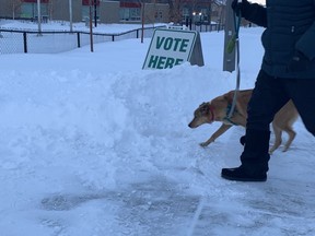 A slow stream of voters -- most arriving on foot, not by vehicle -- braved the snow to cast their ballot at Chief Whitecap school in Stonebridge for the Saskatoon civic election on Nov. 9, 2020.