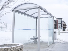 A Chuka Blvd bus shelter sits empty and missing a glass barrier (center left). In the past ten days, there have been 29 reported incidents of smashed glass in transit bus shelters, all across the city.