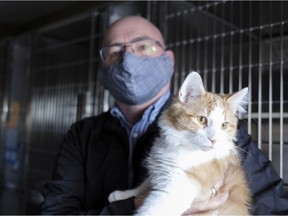 Regina, SASK. : January 4, 2021 -- Bill Thorn, director of marketing and public relations, holds Inspector Gadget at Regina Humane Society. RHS says adoptions during the pandemic actually went down and returns have remained at normal levels. MICHAEL BELL / Regina Leader-Post