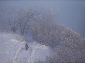 Frost coats trees along the Meewasin Trail as temperatures dipped below -30 degrees Celsius in Saskatoon, Sask. on Jan. 25, 2021.