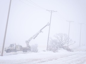 SaskPower crews work on electrical lines at Pense last month as fog limited visibility. MICHAEL BELL / Regina Leader-Post