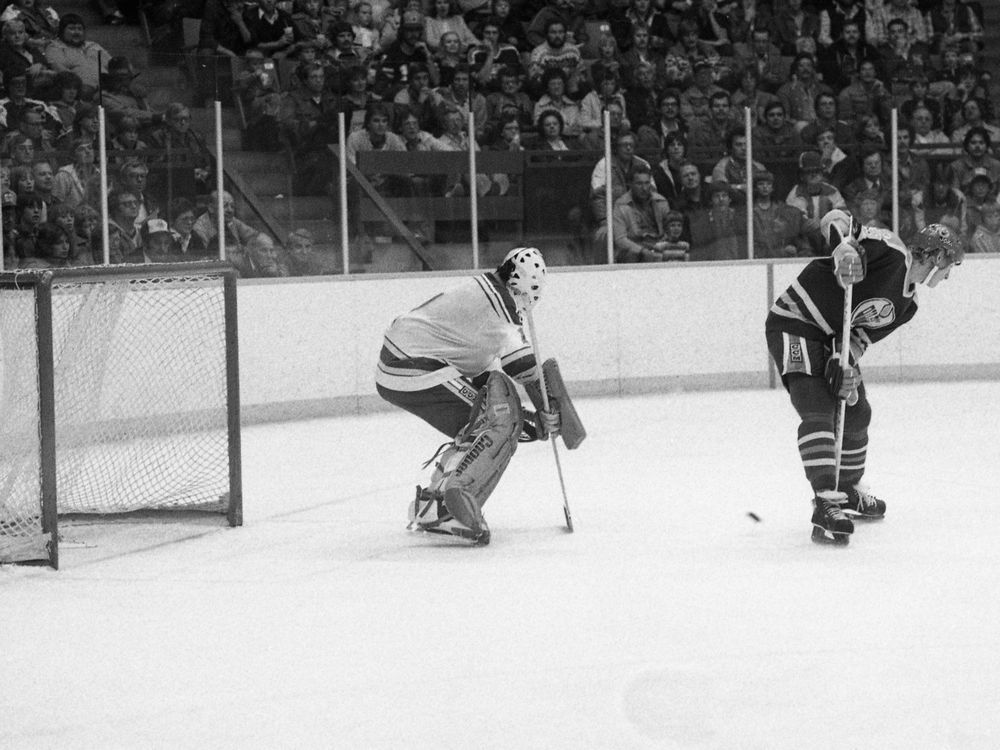 Wayne Gretzky of the St. Louis Blues skates against the Toronto Maple