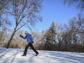 Bruce Hanson skies a trail near the Science Centre on Jan. 25, 2021. With residents looking to get outdoors amid the pandemic, more people than ever are taking up the winter sport.
