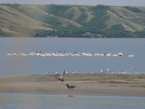 A photo of Echo Valley Provincial Park. Fort San, the site of the dispute, is on the other side of Echo Lake.