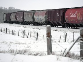 Grain cars roll past on the CN line near Fort Qu'Appelle.  BRYAN SCHLOSSER/Regina, Leader-Post.