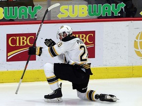 Reid Perepeluk celebrates one of the Brandon Wheat Kings' seven goals Tuesday against the Prince Albert Raiders.