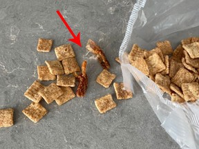 Comedian Jensen Karp found two shrimp tails in his Cinnamon Toast Crunch cereal — after already eating a bowl.