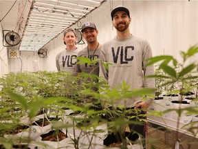 (From left) Co-founder David Limacher, vice-president Jared Dumba and master grower Dylan Bailey stand inside VIGR Life Cannabis Inc. growing pod on April 19,2021 in Regina, Sask.