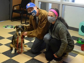 Rob Vanstone and his wife, Chryssoula Filippakopoulos, after adopting Candy from the Regina Humane Society on Wednesday.