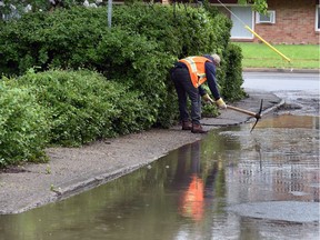 The City of Regina is urging residents to adopt a storm drain and keep it clean of debris.