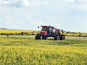 A farmer sprays a canola crop south of Regina. DON HEALY / Regina Leader-Post