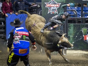 Thor Hoefer II rides Happy Camper during the 2019 PBR Canadian finals at SaskTel Centre.