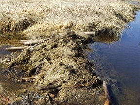 Porcupine Plain RCMP officers located a missing stash of fence posts within a dam built by a colony of beavers.