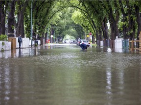 Trynell Johnson tries to find and clear debris from the storm drain on the 1700 block Quebec Street in Regina on June 11, 2021.