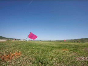 Flags mark the spot where the remains of over 750 children were buried on the site of the former Marieval Indian Residential School in Cowessess first Nation, Saskatchewan, June 25, 2021.