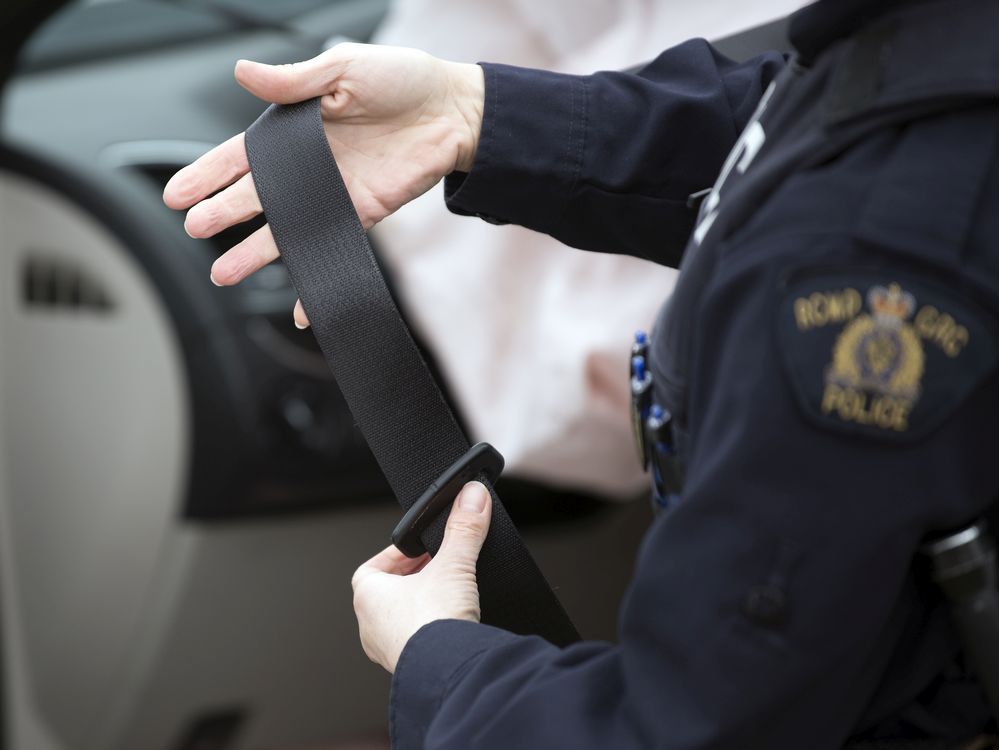Buckle up Nearly 500 seatbelt or restraint tickets issued in June