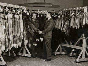 Premier Tommy Douglas visits the Saskatchewan Fur Marketing Services building. Saskatchewan Archives Board Photograph No. B-269(1). PROVINCIAL ARCHIVES OF SASKATCHEWAN