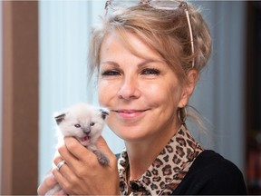 REGINA, SASK : August 6, 2021  -- Lisa Koch of the Regina Humane Society holds Aurora the kitten at the organization's building in Regina, Saskatchewan 

BRANDON HARDER/ Regina Leader-Post