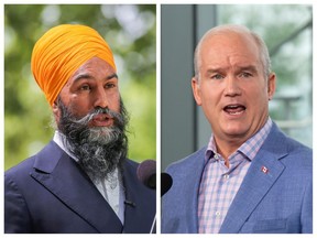 NDP Leader Jagmeet Singh and Conservative Party Leader Erin O'Toole (Reuters / Canadian Press)