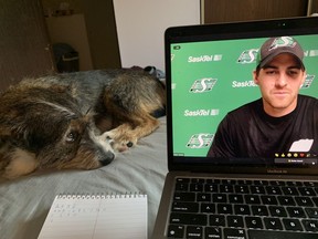 Rob Vanstone's dog, Candy, looks admiringly at Saskatchewan Roughriders quarterback Cody Fajardo during a Zoom interview.