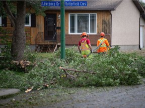 After a late summer storm, workers are seen cleaning up downed branches in the northwest end of Regina, Saskatchewan on September 1, 2021.