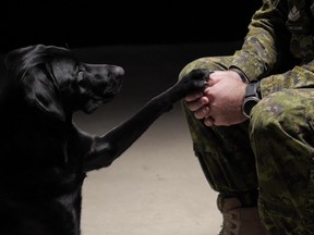 University of Saskatchewan sociology MA candidate Alexandria Pavelich is exploring how suicidality in military veterans may be mitigated by the presence of service dogs and how this relationship positively influences mental health. (Photo by John Ogresko)