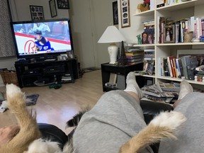 Rob Vanstone and his dog, Candy, have become habitual sports-watchers while sharing quality time and space on the recliner.