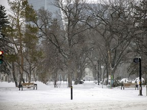 Trees in Victoria Park.