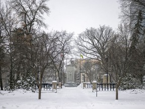 Trees in Victoria Park on Wednesday, November 17, 2021 in Regina.