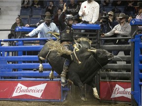 Lonnie West, Cadogan, Alberta, rides Blacked Out during the Maple Leaf Finals Rodeo at the 50th anniversary of the Canadian Western Agribition on Friday, Nov. 26, 2021 in Regina.
