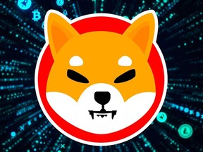 The shiba inu coin was created last year, and like most cryptocurrencies, it began as nearly worthless.