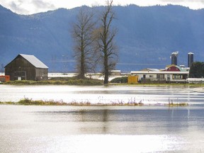 Flooding near Highway 1 between Abbotsford and Chilliwack on Nov. 26. PHOTO BY FRANCIS GEORGIAN /PNG