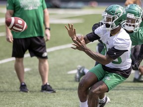 Saskatchewan Roughriders receiver Paul McRoberts was released after two seasons with the Green and White.