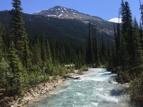 In this July 6, 2017 photo, the Yoho River flows through Yoho National Park in Canada's stretch of the Rocky Mountains, straddling the border of British Columbia and Alberta.