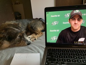 Rob Vanstone's dog, Candy, listens in on a Zoom interview with Saskatchewan Roughriders quarterback Cody Fajardo during the 2021 CFL season.
