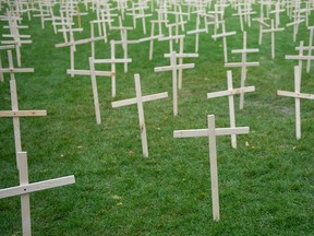 Row upon row of wooden crosses meant to represent the lives lost in Saskatchewan to drug overdose line the grass in the park across from the Saskatchewan Legislative Building in Regina, Saskatchewan on August 31, 2021. The crosses were erected for an event marking National Overdose Awareness Day.