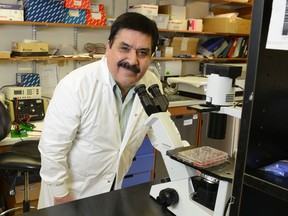 Professor Suresh Tikoo at the Vaccine and Infectious Disease Organization in the University of Saskatchewan.