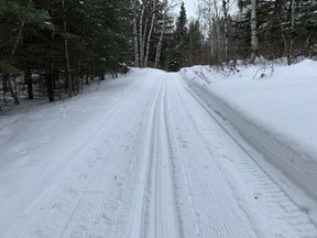 Cross-country ski trail at Eb's Trails north of Saskatoon