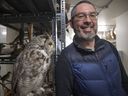Ryan Fisher, seorang kurator di Royal Saskatchewan Museum sedang mengerjakan proyek penelitian melihat burung hantu bertanduk besar di Saskatchewan.